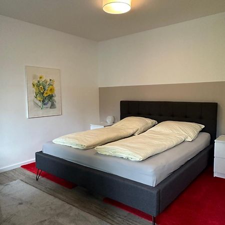 Am Kleinen Muehlenteich - Zentrale Ruhige Lage Mit Parkplatz Und Fahrraedern Apartment Фленсбург Екстериор снимка