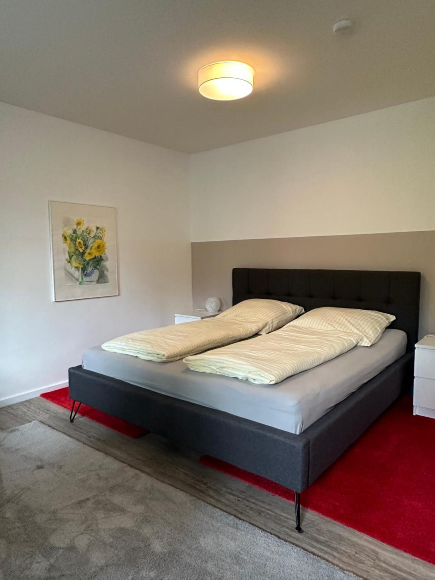 Am Kleinen Muehlenteich - Zentrale Ruhige Lage Mit Parkplatz Und Fahrraedern Apartment Фленсбург Екстериор снимка